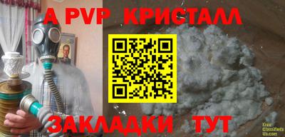 шишки Новодвинск