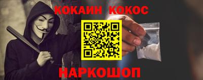 шишки Новодвинск