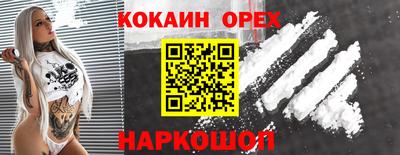 дмт Новозыбков