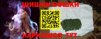 шишки Новодвинск
