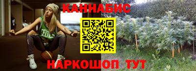 дмт Новозыбков