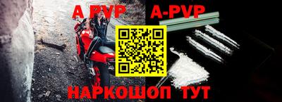 шишки Новодвинск