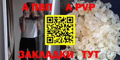 шишки Новодвинск