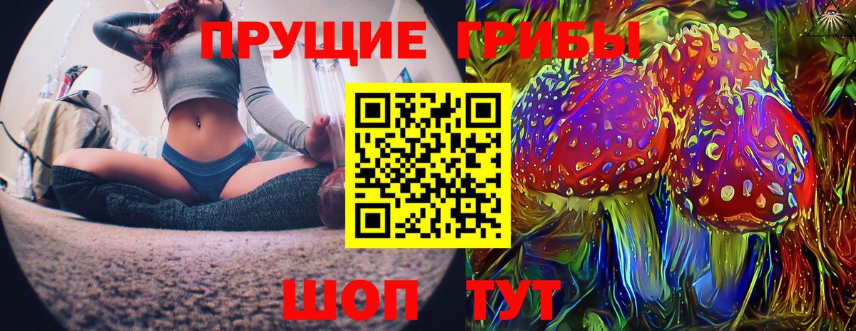 Галлюциногенные грибы прущие грибы Среднеуральск